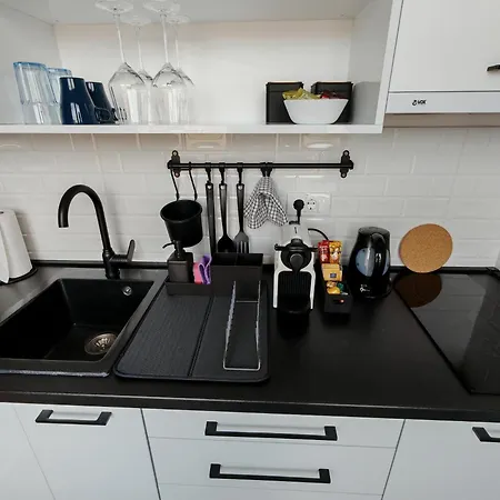 Rakanovic 아파트 팔릭